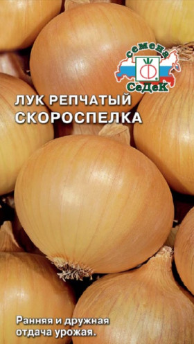 Скороспелка Ц(С) лук