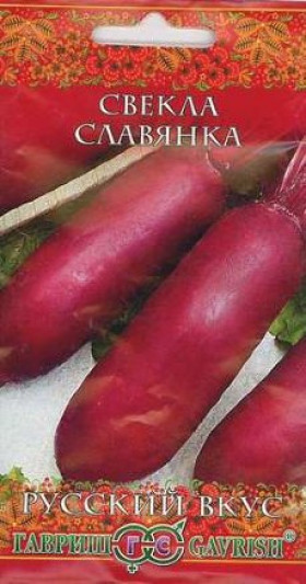 Славянка 2гр.Ц(Г)