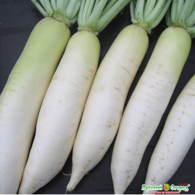 Универсал Ц(Н)