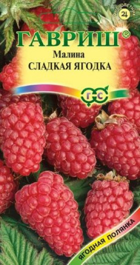 малина Сладкая ягодка Ц(Г)