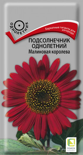 Малиновая королева Ц(Поиск)