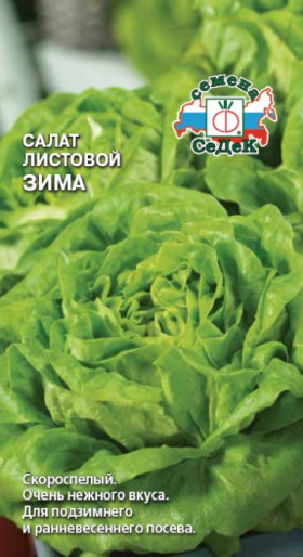 Зима листовой Ц(С)