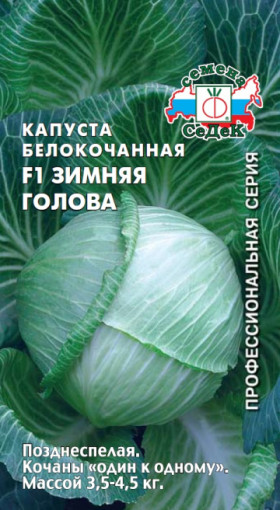 Зимняя голова Ц(С)