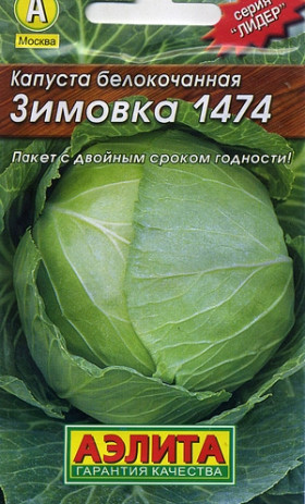 Зимовка Лидер