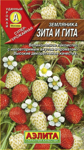 Зита и Гита Ц(А)