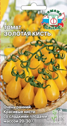 Золотая кисть Ц(С)