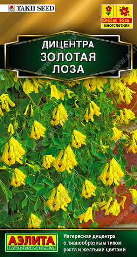 Золотая лоза Ц(А)