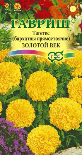 Золотой век Ц(Г)