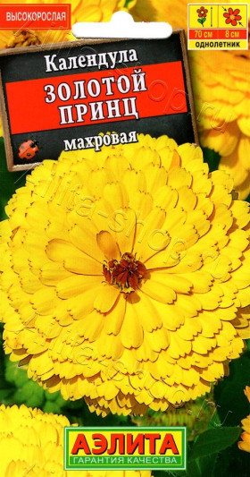 Золотой Принц Ц(А) (7106                     )