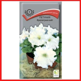 Фриллитуния Вайт Ц(Поиск)