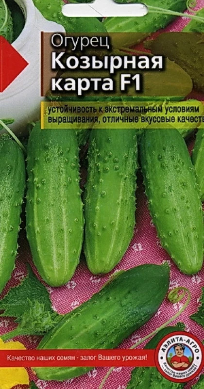 Козырная карта семена огурцов