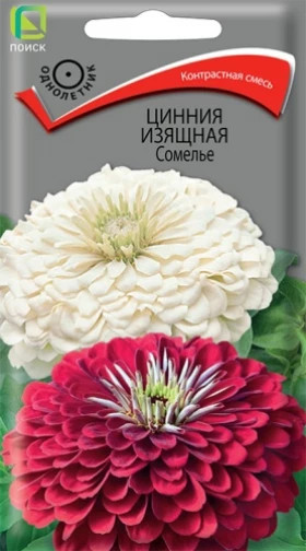 Сомелье изящная 0,4гр Ц(Поиск)