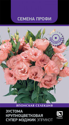 Супер Мэджик Эприкот Ц(Поиск)