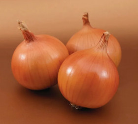 Министр 80шт /Элитные семена