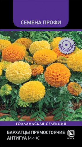 Антигуа Микс прямостоячие Ц(Поиск)