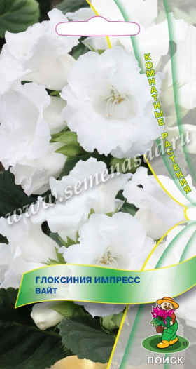 Импресс Вайт Ц(Поиск) 5шт