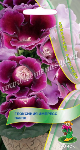 Импресс Парпл Ц(Поиск) 5шт