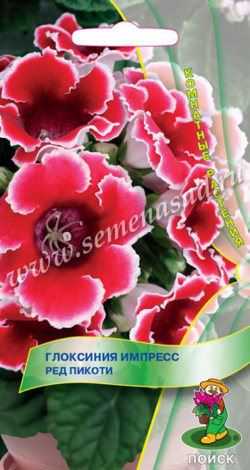 Импресс Ред Пикоти Ц(Поиск) 5шт