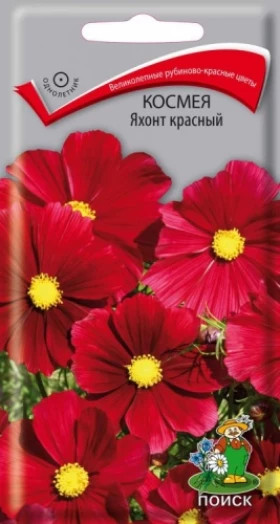 Яхонт красный Ц(Поиск)