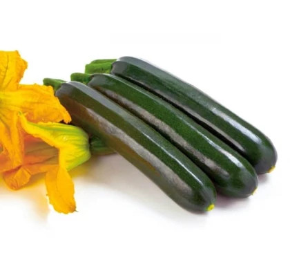 Сальвадор 5шт / Элитные семена