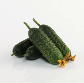 Абсолют 5шт / Элитные семена