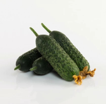 Абсолют 5шт / Элитные семена