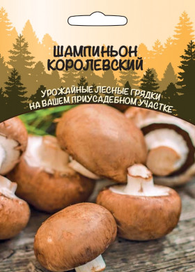 Шампиньон Королевский Ц(УД)