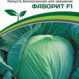 Фаворит Партнер 0,2г НОВИНКА