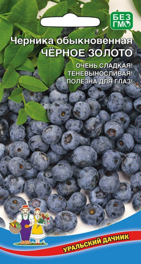 черника Черное золото Ц(УД)