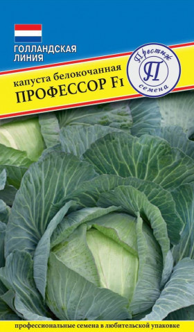 Профессор Ц(П)