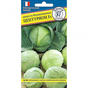 Центурион Ц(П)