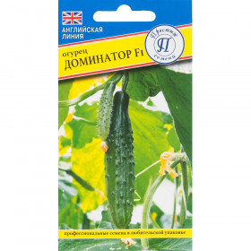 Доминатор Ц(П)