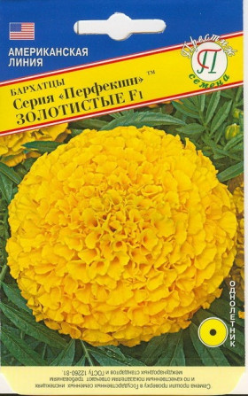 Перфекшн Золотистые прямостоячие Ц(П)
