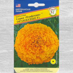 Перфекшн Оранжевые прямостоячие Ц(П)