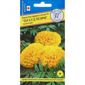 Прауд Мэри Золотые Ц(П)