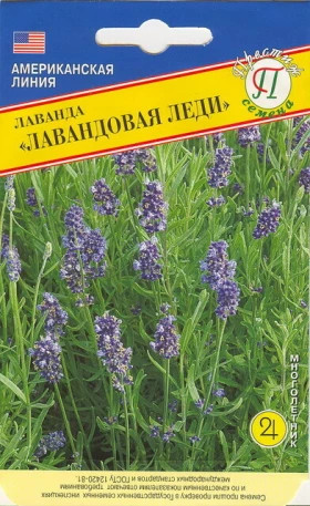 Лавандовая леди Ц(П)