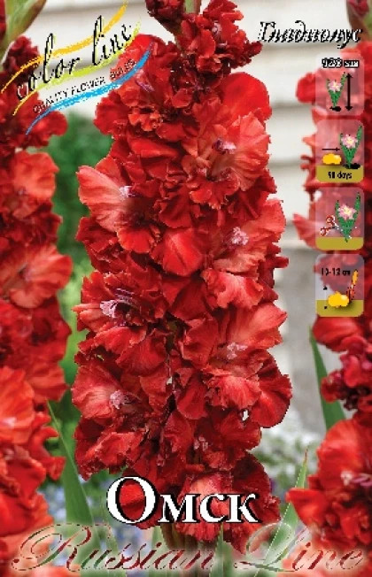 Омск 10/12 8шт