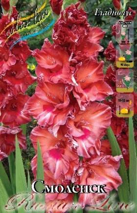 Смоленск 10/12 8шт