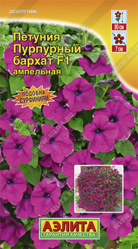 Пурпурный бархат ампельн. Ц(А)