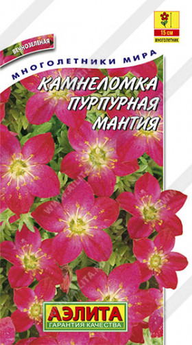 Пурпурная мантия Ц(А)