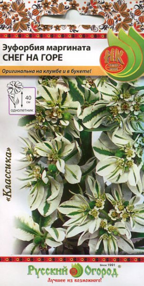 Снег на горе Ц(Н)