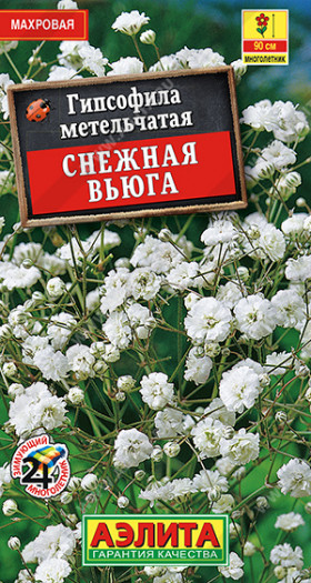 Снежная вьюга Ц(А) гипсофила