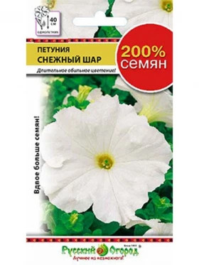 Снежный шар Ц(Н)