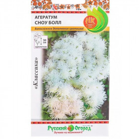 Сноу Болл Ц(Н)