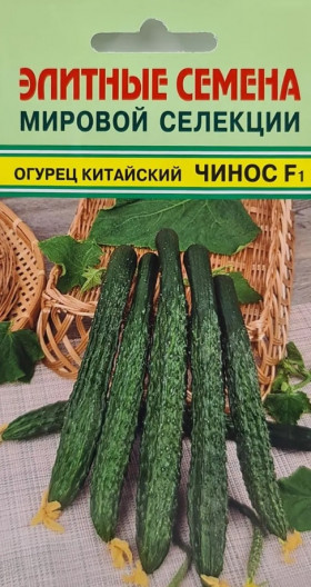 Чинос китайский 5шт/ Элитные семена