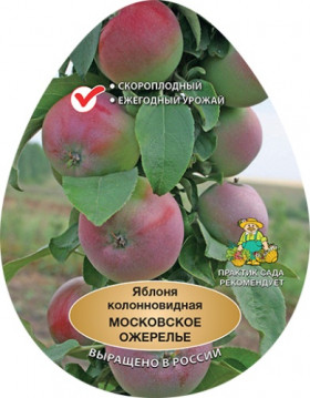 Московское ожерелье Х-2 колонновидная/подвой 54-118 полукарл 1шт/сетка Поиск