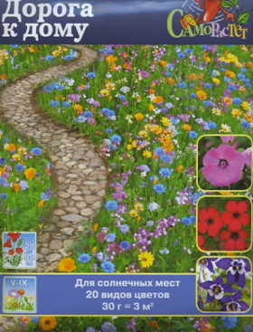 Дорога к дому цвет. Ц(Н)