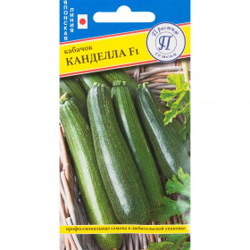 Кандела Ц(П)