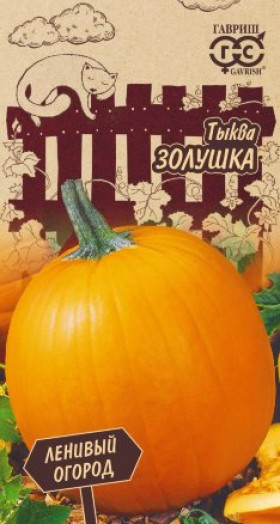 Золушка 1гр. Ц(Г)