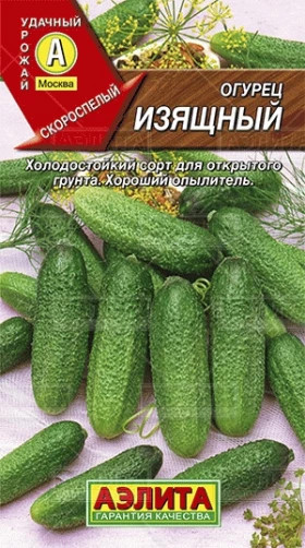 Изящный Ц(А)